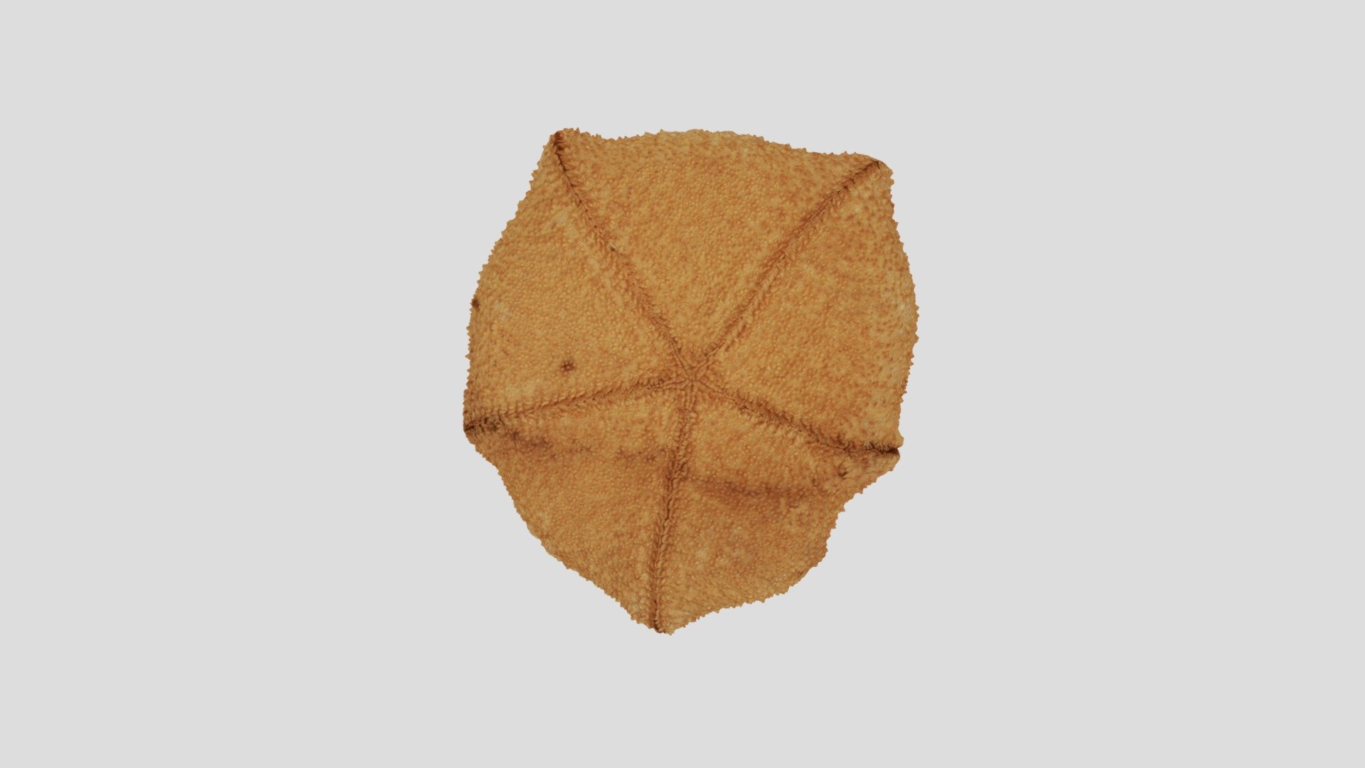 Culcita reticulatus