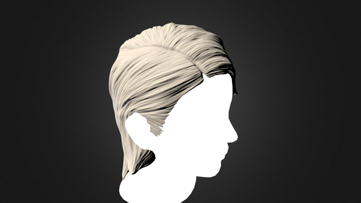 Hair 3D Model