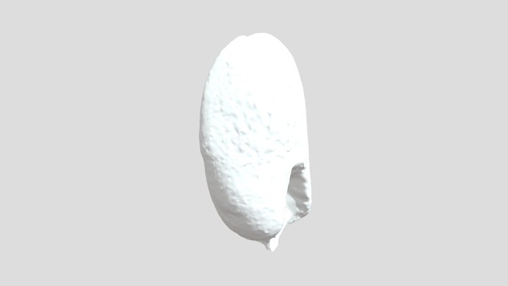 ZHB8 3D Model