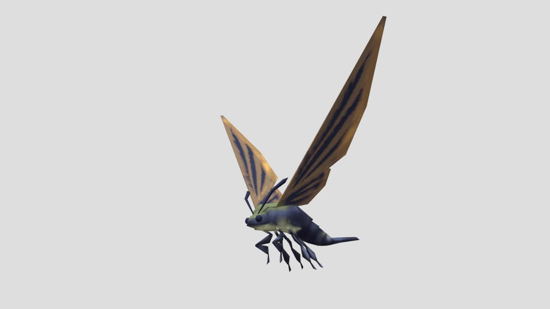 Humming Bird Hawk Moth - 3D model by John Burton Darrow III ...