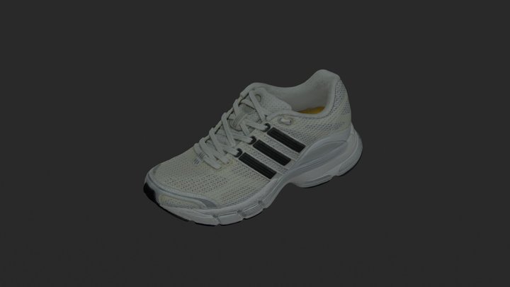 Textured Mesh 3D Model