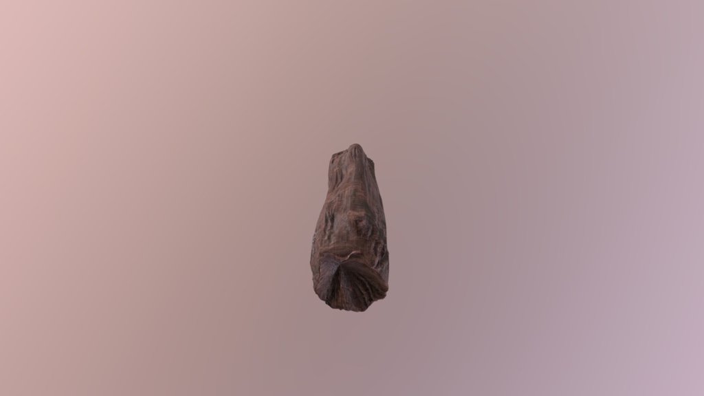 log_01