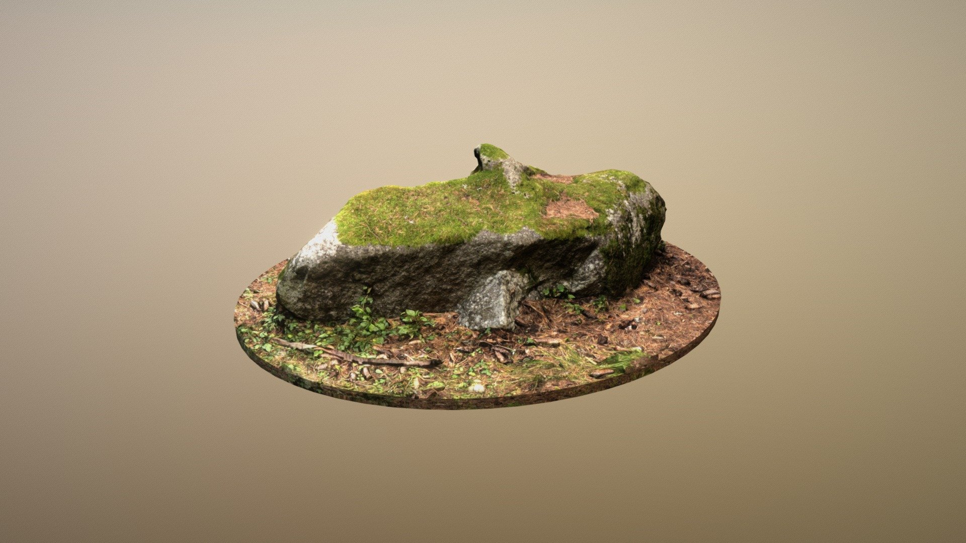 Mossy Rock