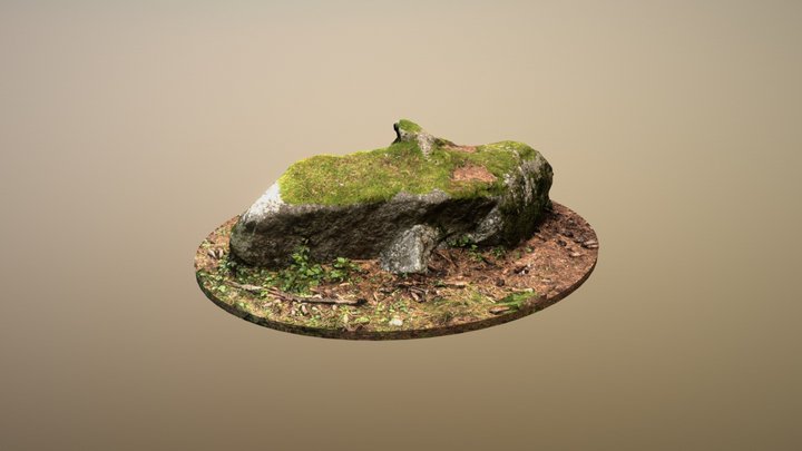 Mossy Rock 3D Model