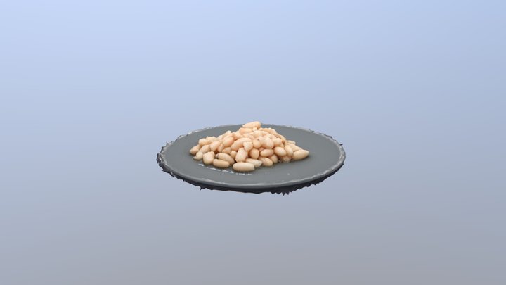 judias sin spray 3D Model