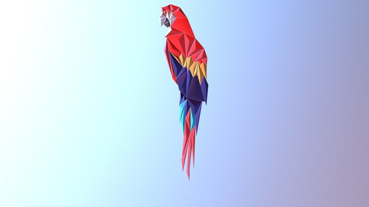 попугай 3D Model
