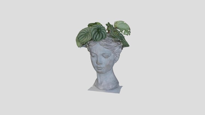 Head Vase 3D Model