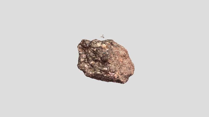 mica schist 3D Model