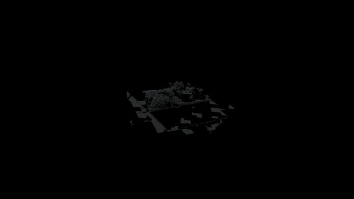 20250618 Henfaes 3D Model