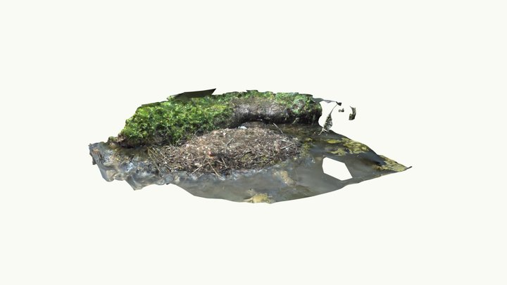 Swan - habitat 3D Model