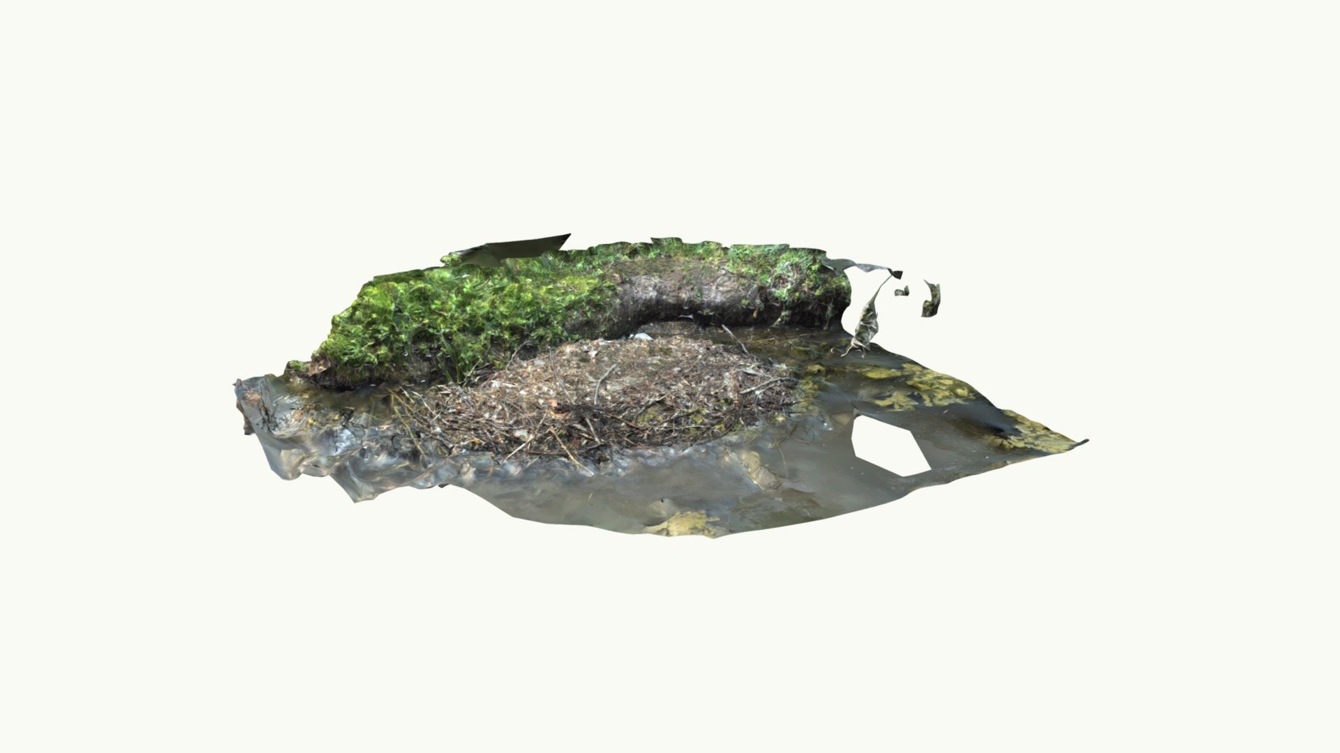 Swan - habitat - Download Free 3D model by Atlas of Habitats ...