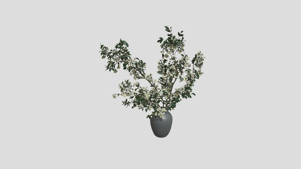 White Blossom