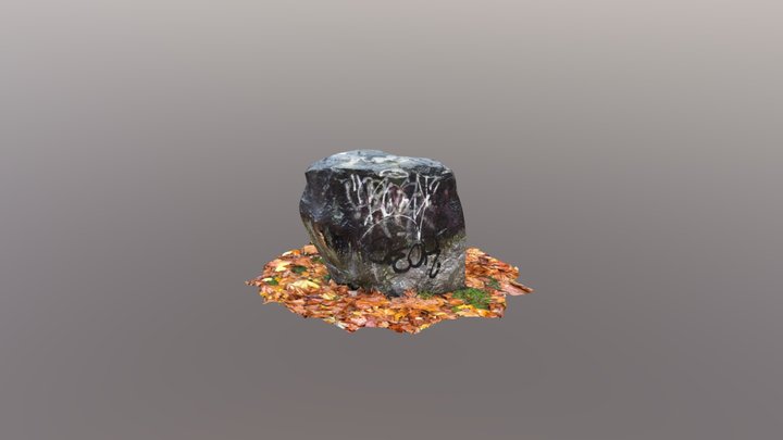 Rocks on the ground with autumn leaves 3D Model