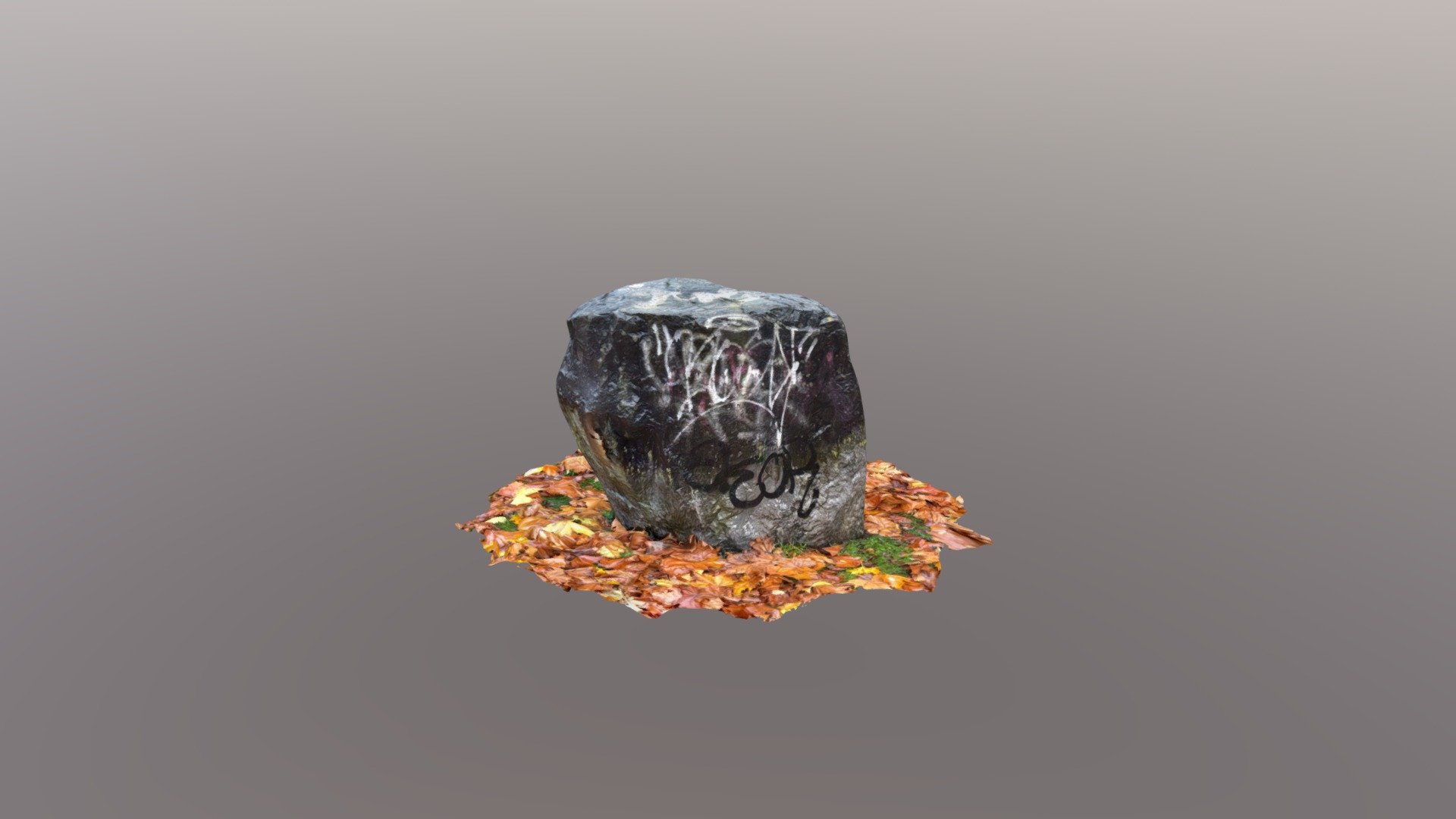 Rocks on the ground with autumn leaves