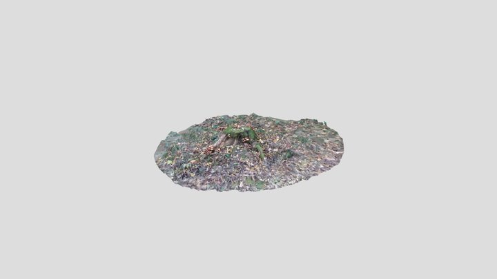 Tree stump with mushrooms 3D Model
