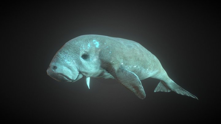 Ikan Dugong 3D Model