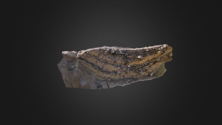 Wren Feature 3D Model