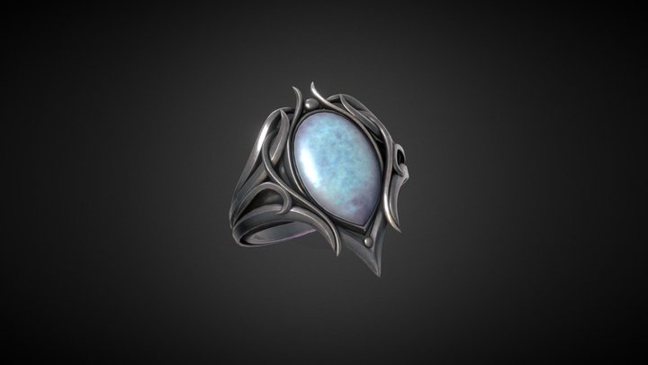 Ring of Many Things 3D Model