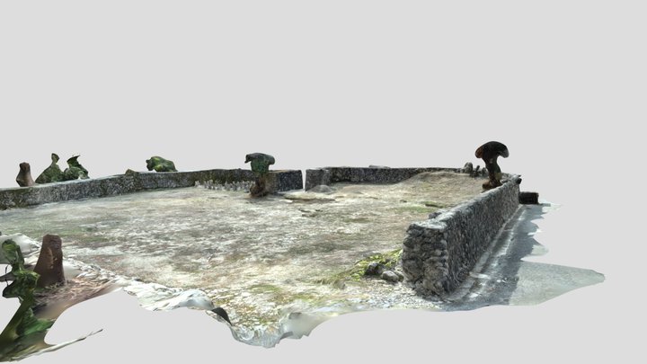 サンゴの石垣：阿伝18:T09 3D Model