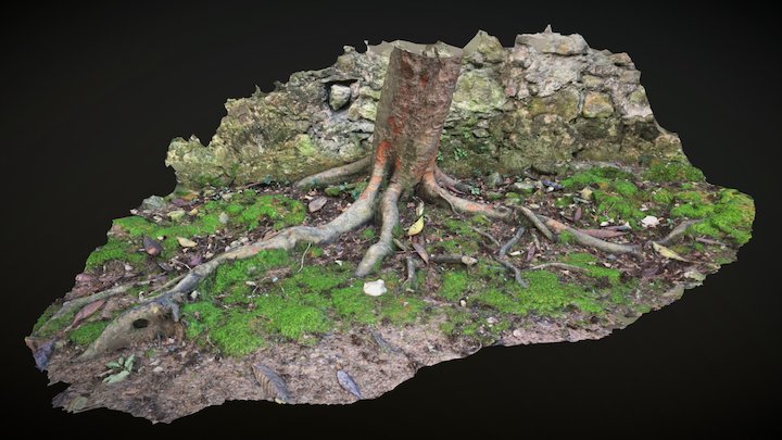 Arbre 3D models - Sketchfab
