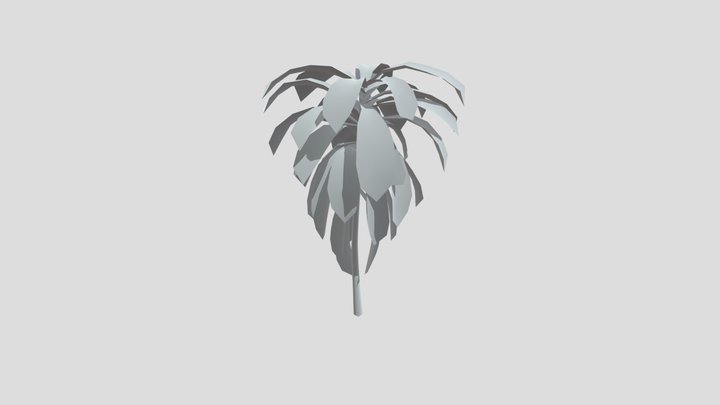 Dracaena Corn Plant Med