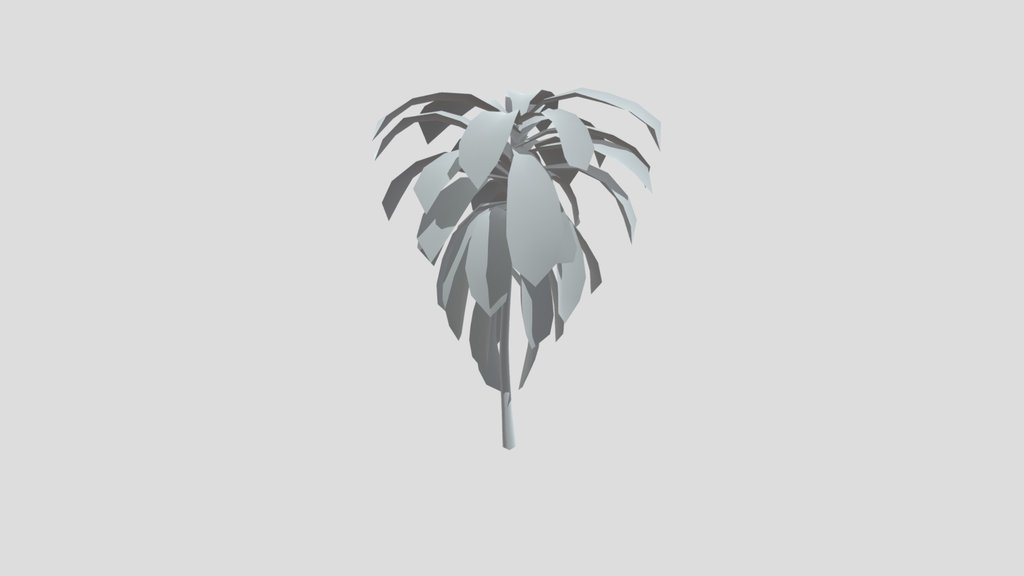 Dracaena Corn Plant Med