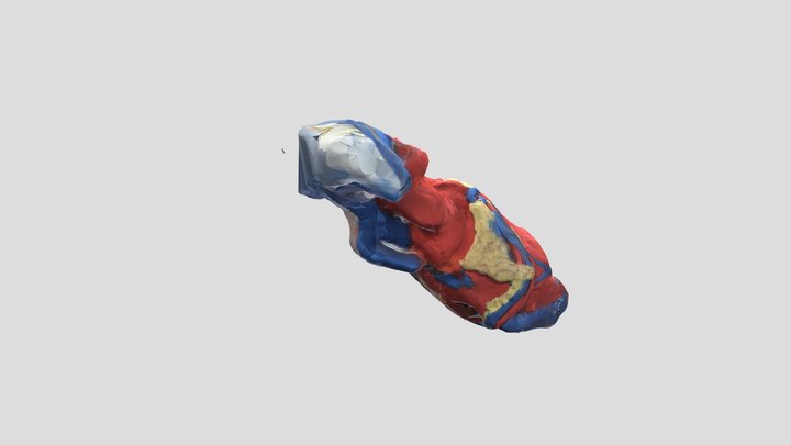 H3heartmodel2 3D Model