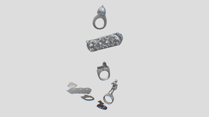 Rings Of Florence 3D Model