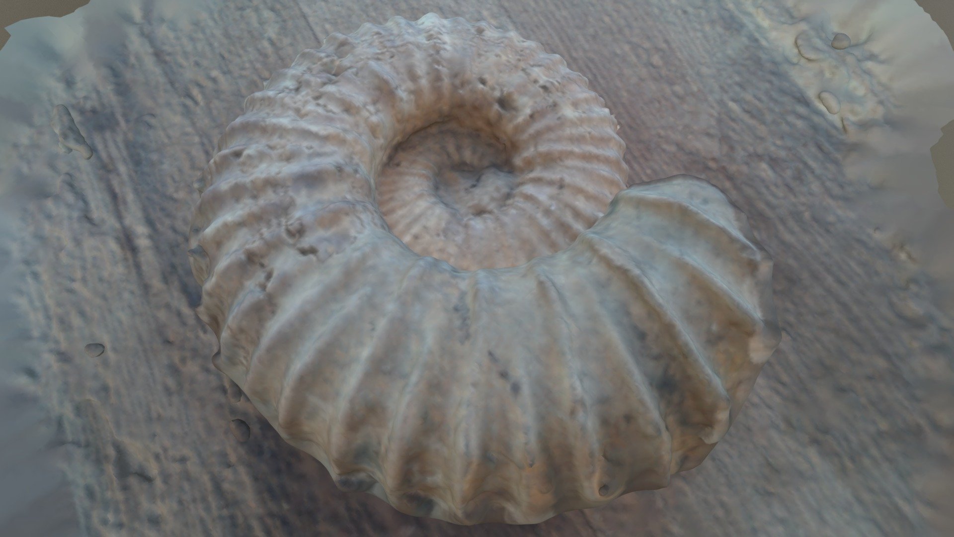 Fossilized ammonite - Photogrammetry model