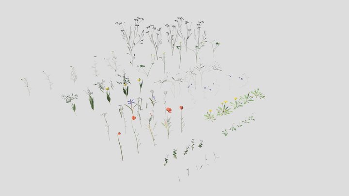 Wild Flower Plant Pack 3D Model