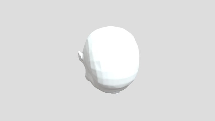 My model 3D Model