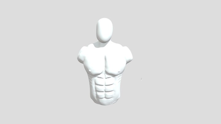 Fully muscled torso - anatomy 3D Model