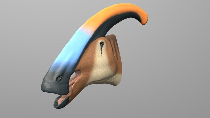 Parasaurolophus Walkeri bust 3D Model