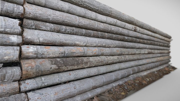 Tree log fence - photogrammetry and retoplogy 3D Model