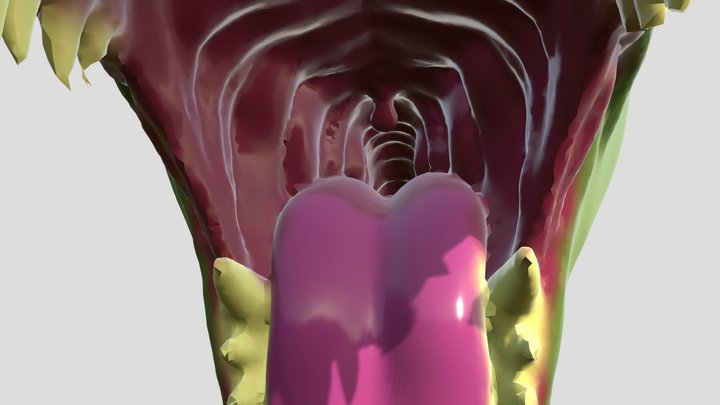Dragon Maw (Colorized) 3D Model