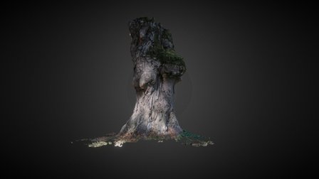 Schwarzenbergallee Tree Trunk 3D Model