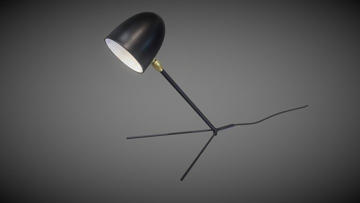 Cocotte - The Curious Lamp 3D Model