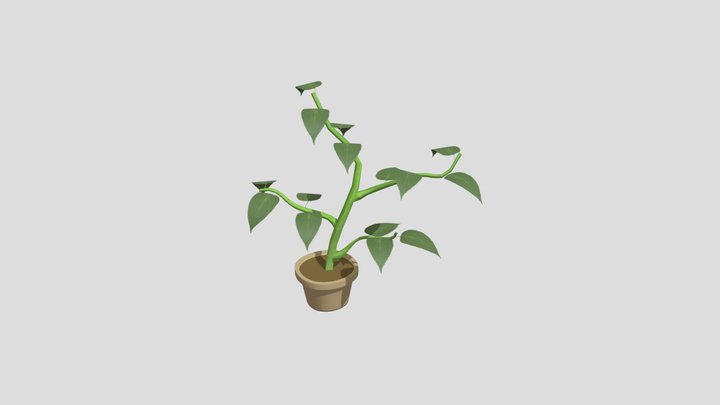 plant project 3D Model