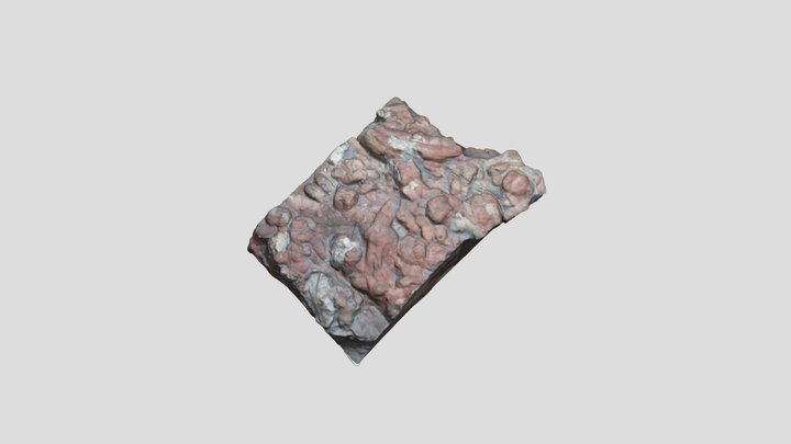 Icnofósil mediano 3D Model