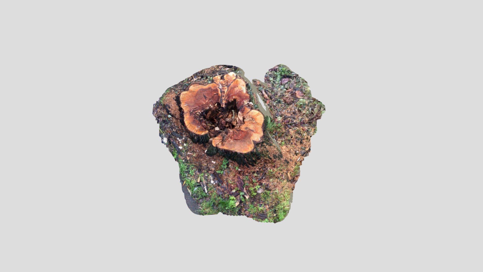 Bond Street — Sketchfab embed 3D viewer