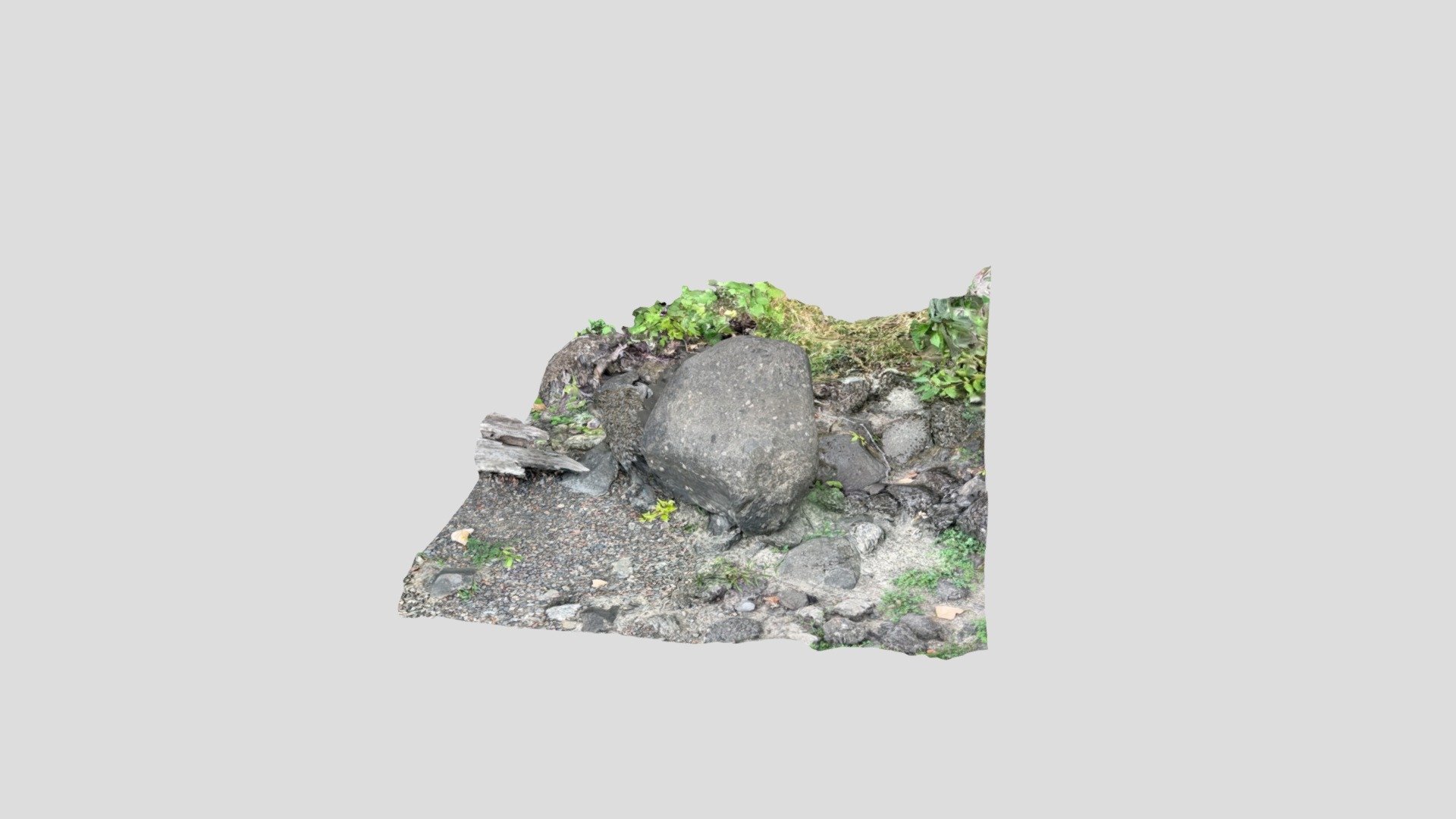 Rock