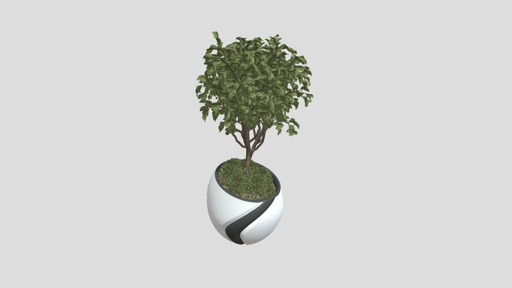 Plant