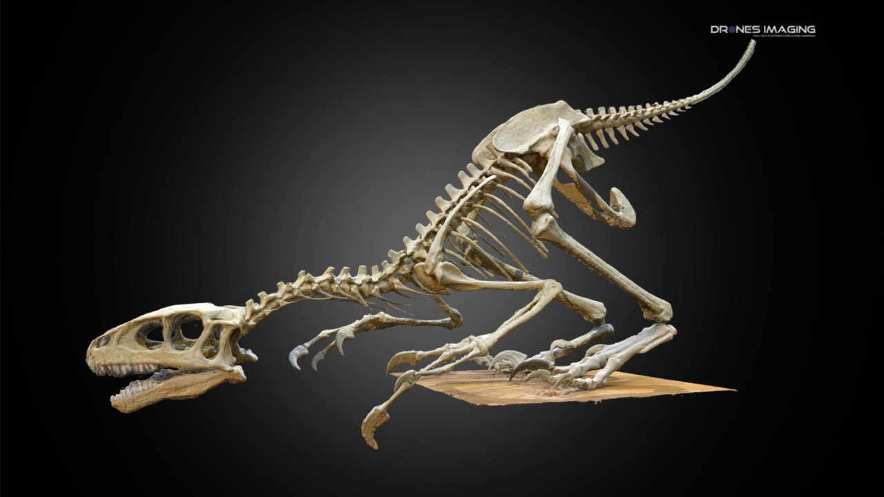 3D model Dinosaur skeleton – Paris - This is a 3D model of the Dinosaur skeleton - Paris. The 3D model is about a skeleton of a dinosaur.