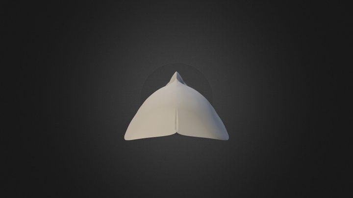 Amon 909 3D Model