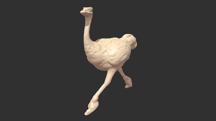 Ostrich HD 3D Model