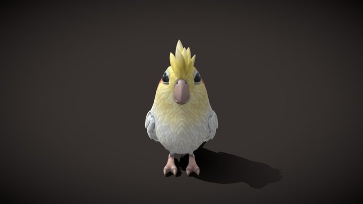 Cartoon Parrot Bird 3D Model 3D Model