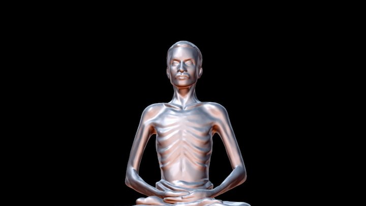 Shrimad Rajchandra 3D Model