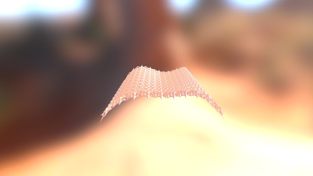 Tessellated Surface 403360190 林苡忻
