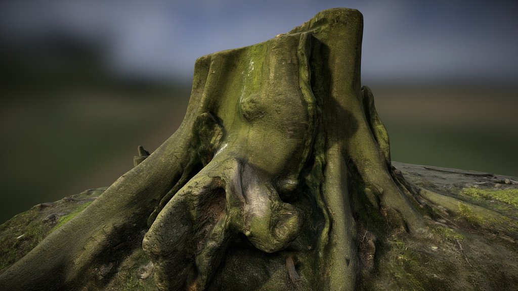 Stump_03