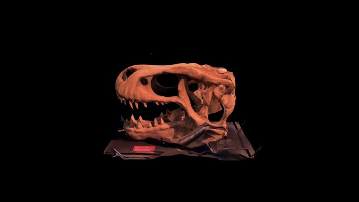 TRex - Jurassic World 3D Model